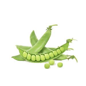 Organic Peas